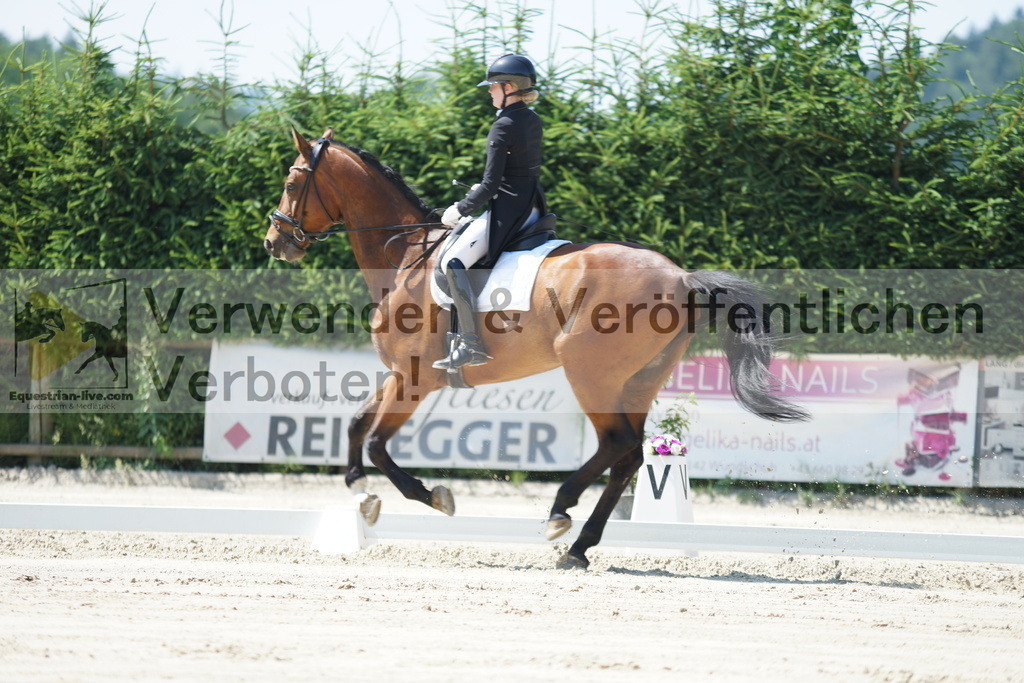 DSC02255 | equestrian-live-com