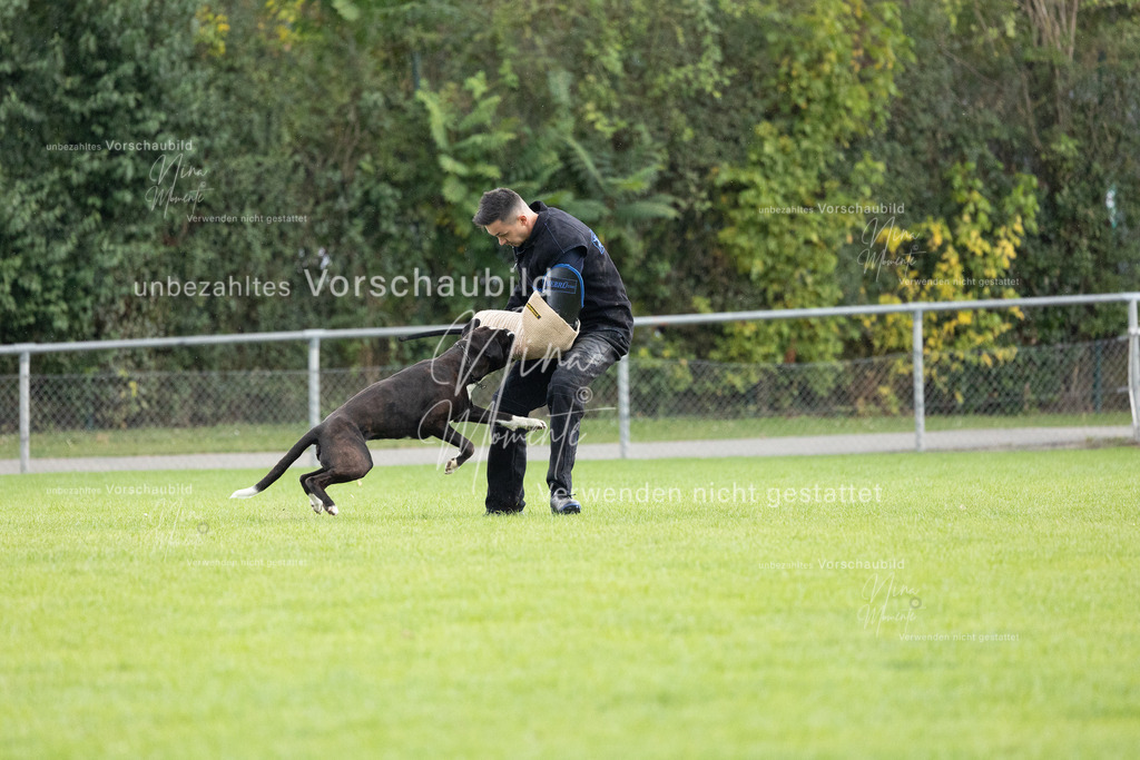 _16A7134 | Einzigartige Fotos von Hunden & Menschen –Actionfotos, Portraits, Vereinsaufnahmen & Paarshootings – authentisch, lebendig & mit Herz.