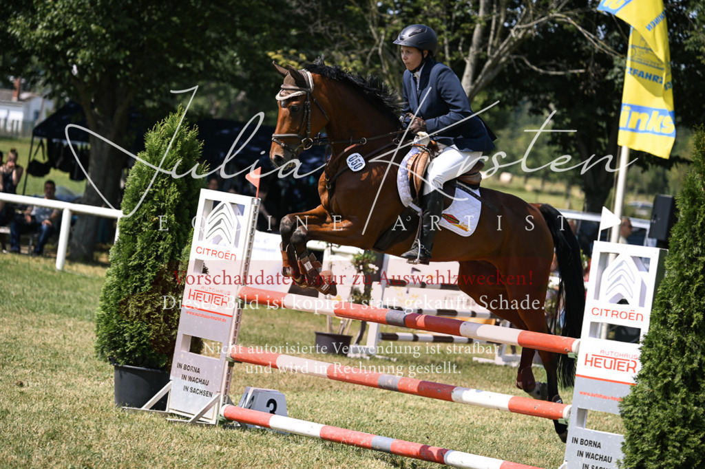 DSC_0430 | Pferde- und Turnierfotografie in Westsachsen. Pferdeportraits, Auftragszeichnungen und intuitive Kunst.