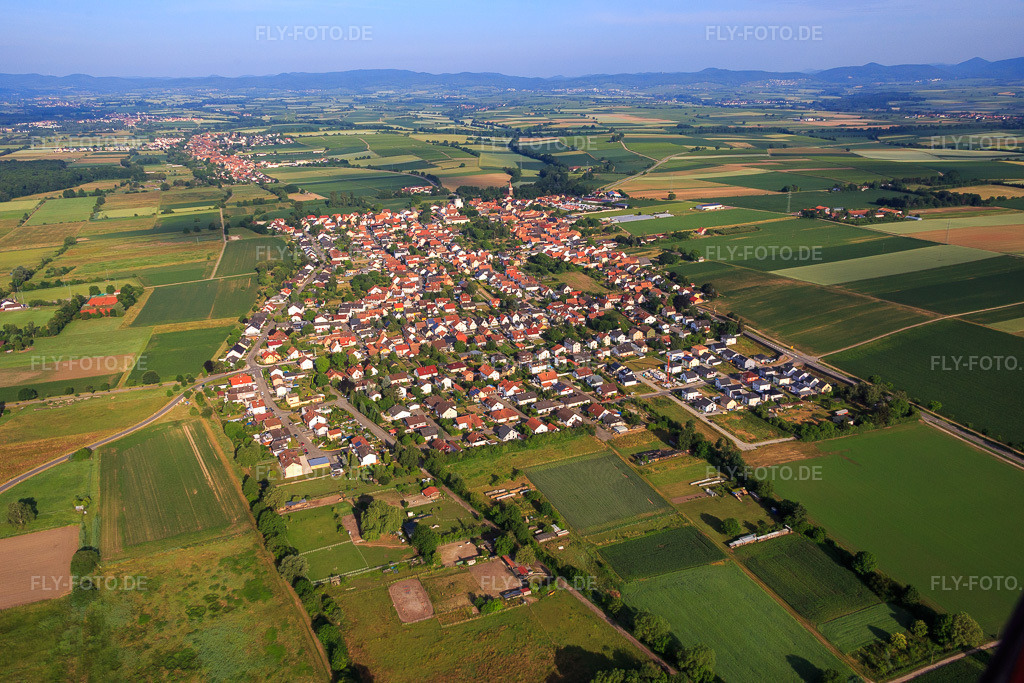 Luftbild: Dorfübersicht aus Osten in Minfeld im Bundesland Rheinland-Pfalz in Deutschland. Foto: IMG_080904.jpg vom 14.06.2015 durch Werner Riehm/FLY-FOTO.de