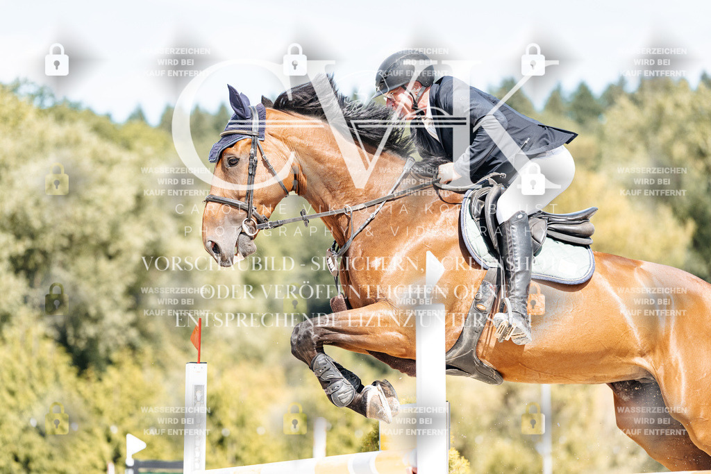 CK908831 | Turnierfotografie Pferdefotografie Trier Rheinland-Pfalz Pferdesport Reitsport Tierfotografie Sportfotografie Pferdevideo Pferdevideografie Equestrianvideography equestrianphotography  - Realisiert mit Pictrs.com