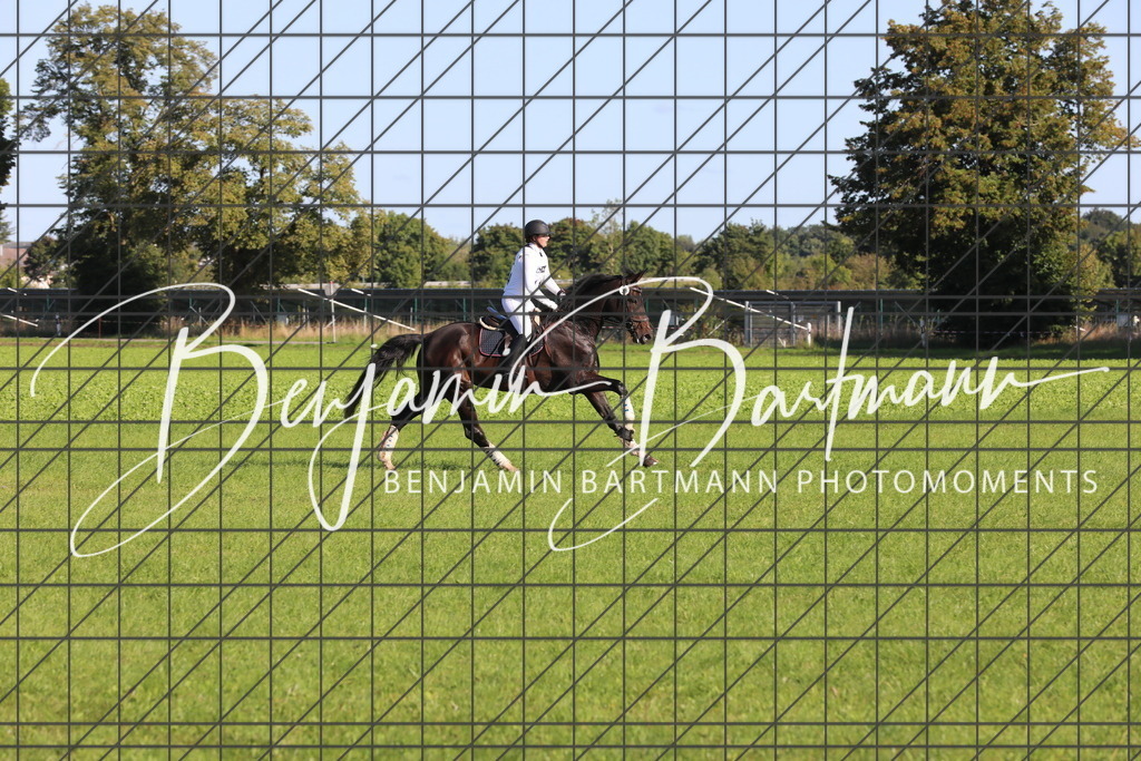 AZ2A1213 | Benjamin Bartmann Photomoments