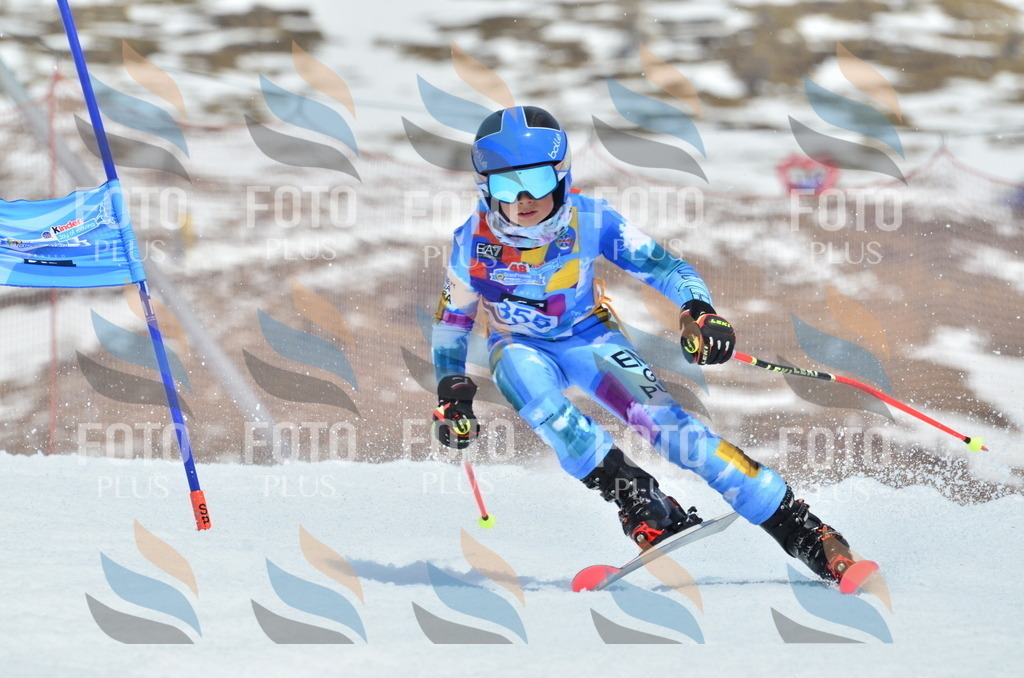 _ELE2740 | holidayphoto