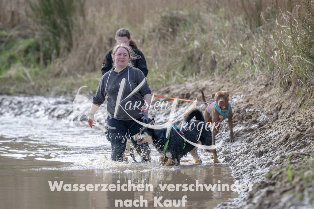 1146_ZZ90169 | kk-dogfotos