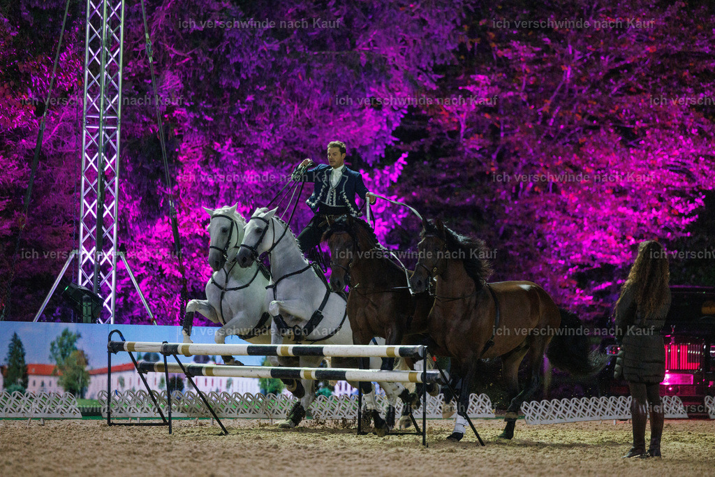 FHClassics-389 | working equitationturnier fotograf videograf stoibphotography marixx film working equitation deutschland reitsport turnierfotografie eventfotografie equestrian events