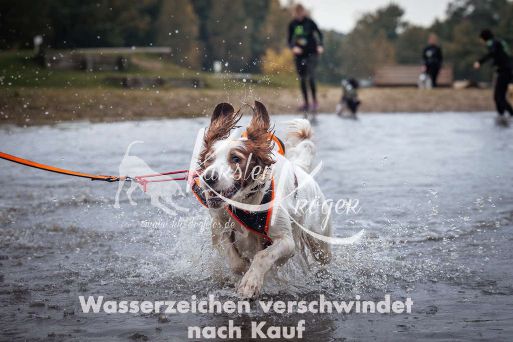 1220_ZZ99273 | kk-dogfotos