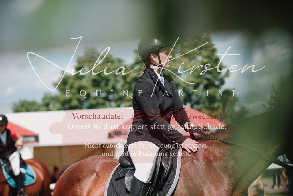 DSC_5771 | Pferde- und Turnierfotografie in Westsachsen. Pferdeportraits, Auftragszeichnungen und intuitive Kunst.