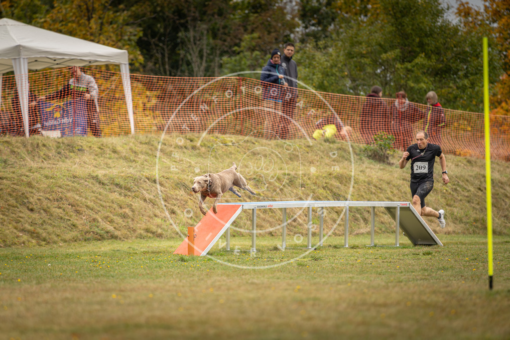 Pfotenfotografie_DV3A2726 | Hundefotografie, Tierfotograf, Pfotenfotografie, Fotoshooting Hund, Hunde Portrait, Hundesport, Hundeportraits, Heideshooting, Hunde, Sportfotograf, Hundefotograf, Turnierhundsport, THS,  - Realisiert mit Pictrs.com