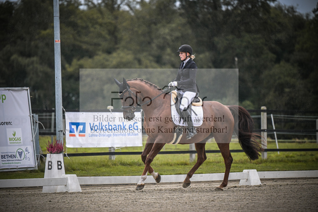 DOS_0200 | Entdecke hochwertige Reitturnierfotos von Foto Oger. Professionell, emotional und authentisch – jetzt Lieblingsmomente im Shop bestellen.Deutschlandweite Turnierfotografie. - Realisiert mit Pictrs.com
