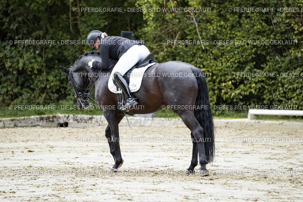 DSC09468 | Pferdegrafie