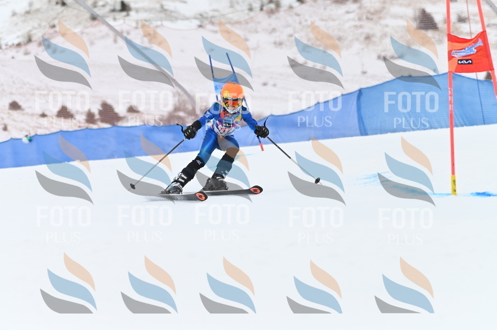 BGV_9699 | holidayphoto