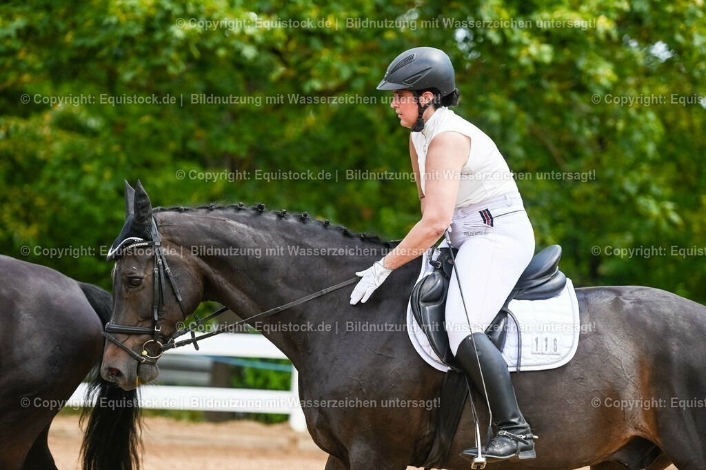 20230715_05_Dressurprüfung Kl.A++_0186 | equistock