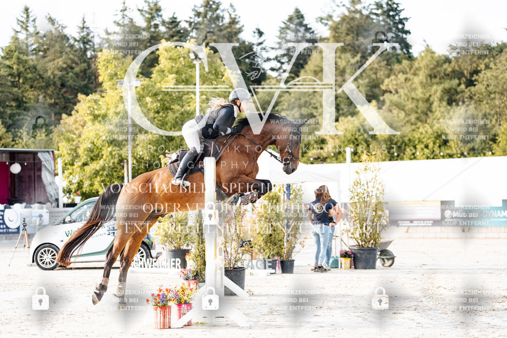 CK903260 | Turnierfotografie Pferdefotografie Trier Rheinland-Pfalz Pferdesport Reitsport Tierfotografie Sportfotografie Pferdevideo Pferdevideografie Equestrianvideography equestrianphotography  - Realisiert mit Pictrs.com