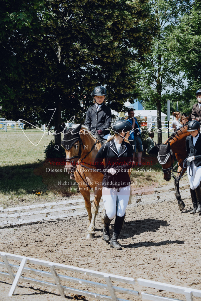 DSC_2161 | Pferde- und Turnierfotografie in Westsachsen. Pferdeportraits, Auftragszeichnungen und intuitive Kunst.