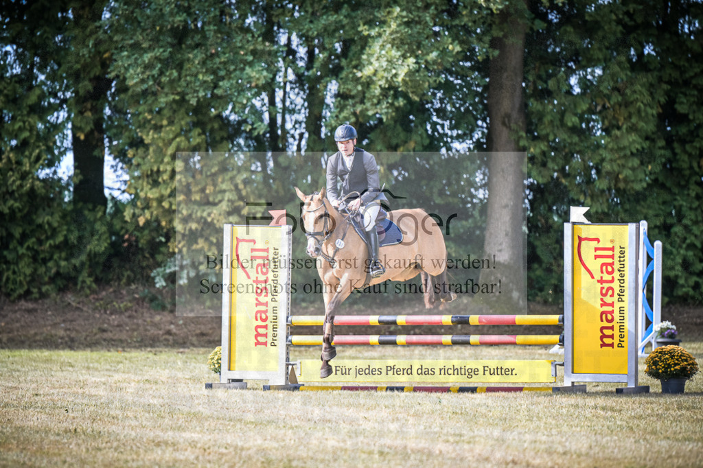 DOS_0465 | Entdecke hochwertige Reitturnierfotos von Foto Oger. Professionell, emotional und authentisch – jetzt Lieblingsmomente im Shop bestellen.Deutschlandweite Turnierfotografie. - Realisiert mit Pictrs.com