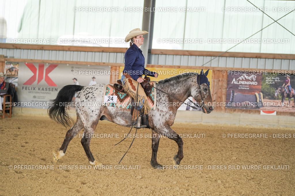 DSC02972 | Pferdegrafie