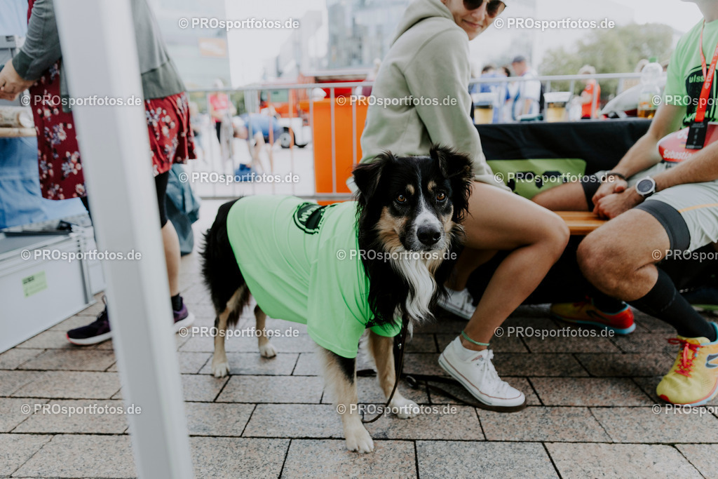 240825_Treppenlauf-621 | Professionelle Fotos Ihrer Laufsportveranstaltung.
