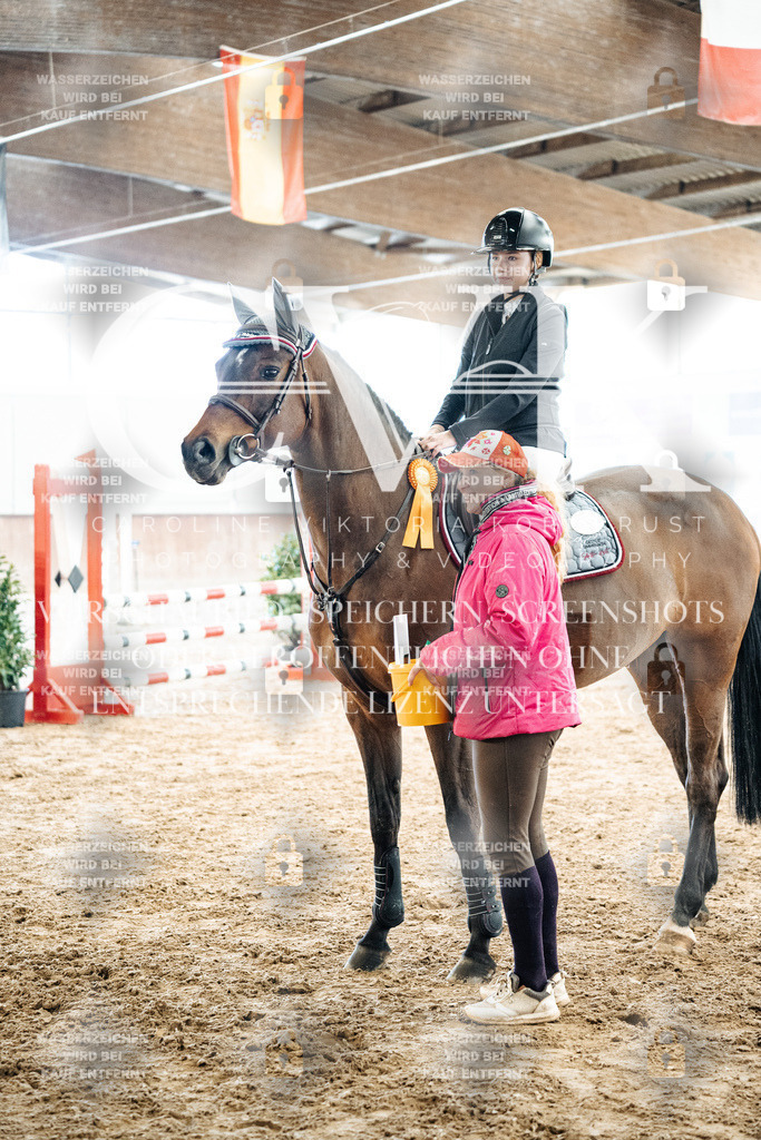 CK702882 | Turnierfotografie Pferdefotografie Trier Rheinland-Pfalz Pferdesport Reitsport Tierfotografie Sportfotografie Pferdevideo Pferdevideografie Equestrianvideography equestrianphotography  - Realisiert mit Pictrs.com