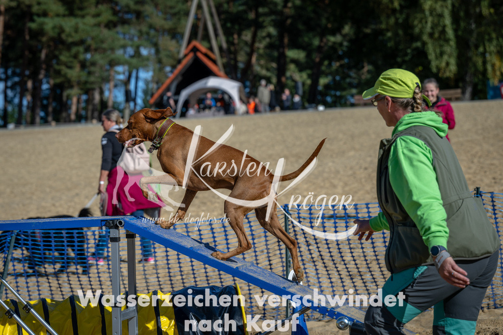 1153_ZZ92313-2 | kk-dogfotos