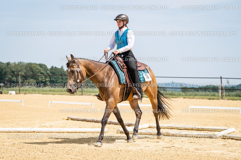 DSC00936 | Pferdegrafie