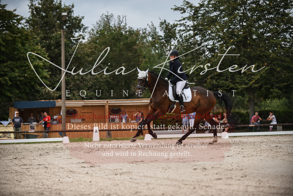DSC_8468 | Pferde- und Turnierfotografie in Westsachsen. Pferdeportraits, Auftragszeichnungen und intuitive Kunst.