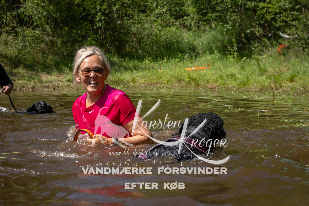 DK K991781141426 | kk-dogfotos