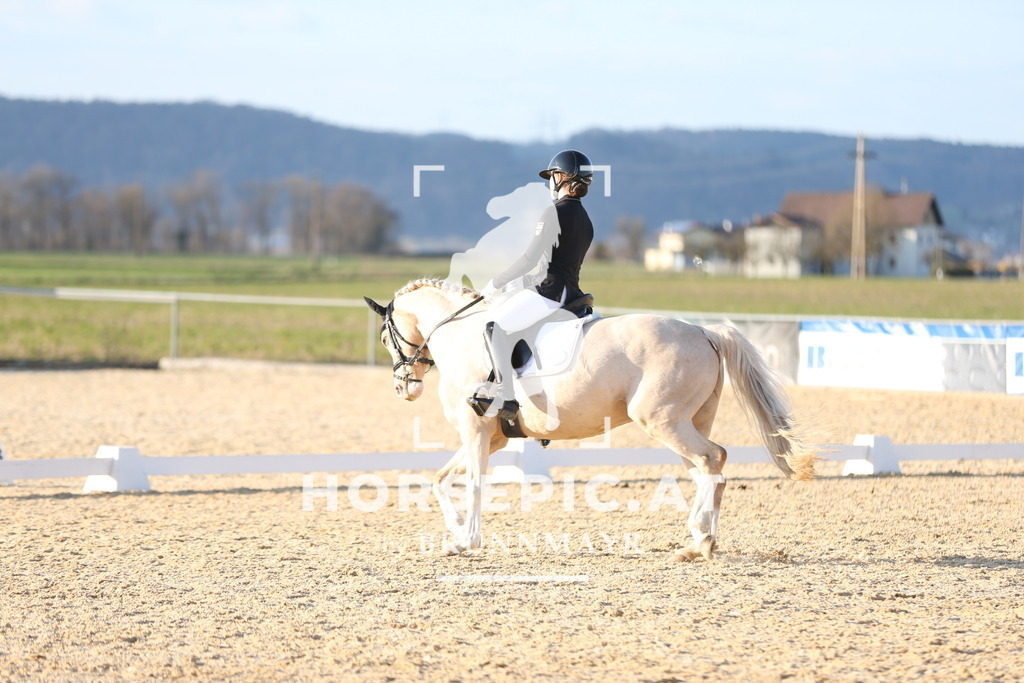 AS8V2246 | Willkommen bei Brunnmayr - Design & Fotografie – Ihrem Spezialisten für Reitturniere und Pferdeveranstaltungen in Oberösterreich, Salzburg und Bayern! Seit über 17 Jahren sind wir leidenschaftlich dabei.