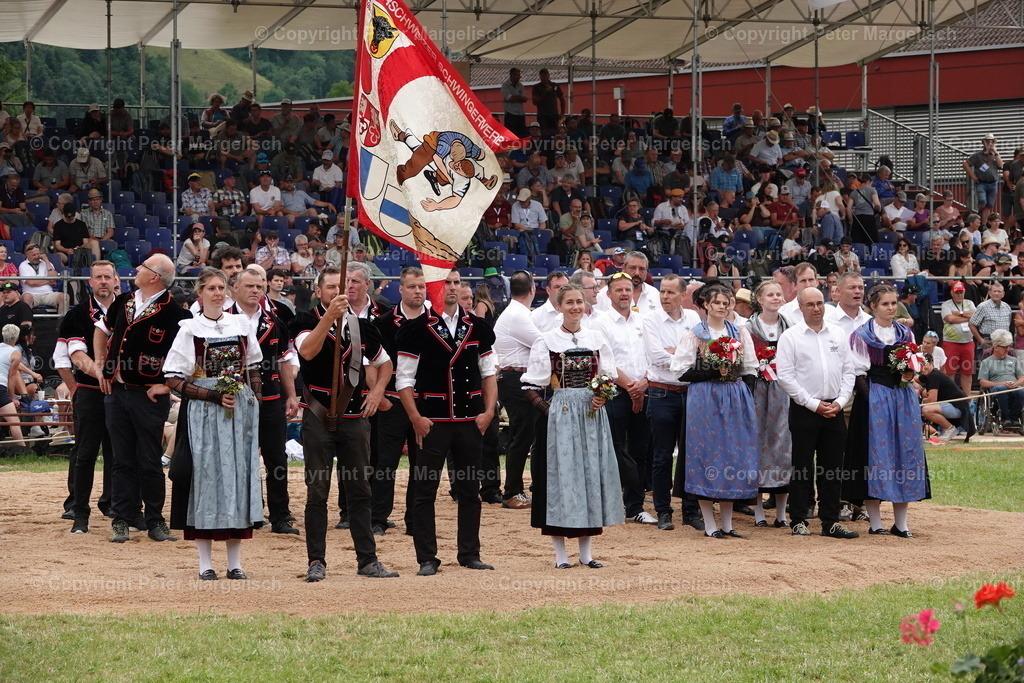 DSC01288 | Schwingen - Realisiert mit Pictrs.com