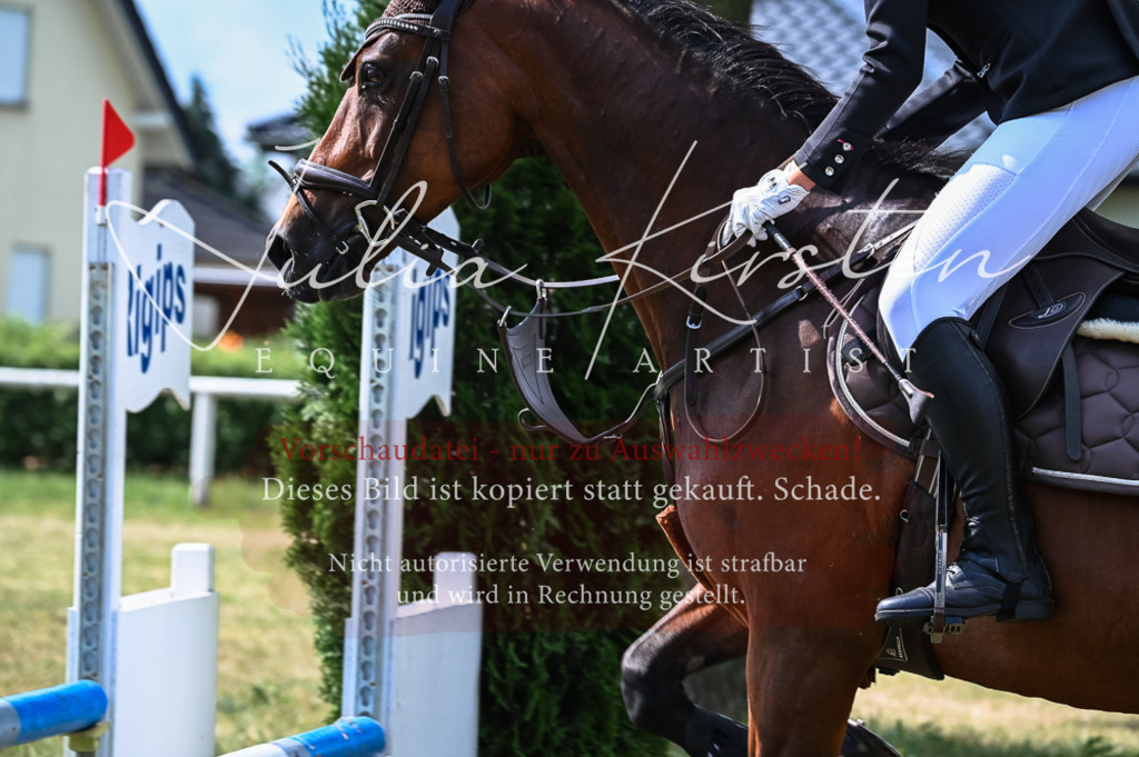 DSC_8502 | Pferde- und Turnierfotografie in Westsachsen. Pferdeportraits, Auftragszeichnungen und intuitive Kunst.