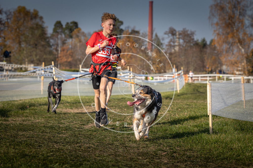 CaniXpix_0L8A8932 | Hundefotografie, Tierfotograf, Pfotenfotografie, Fotoshooting Hund, Hunde Portrait, Hundesport, Hundeportraits, Heideshooting, Hunde, Sportfotograf, Hundefotograf, Turnierhundsport, THS,  - Realisiert mit Pictrs.com
