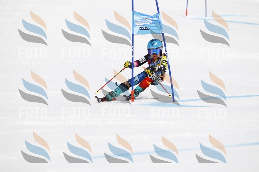 _U3G5005 | holidayphoto