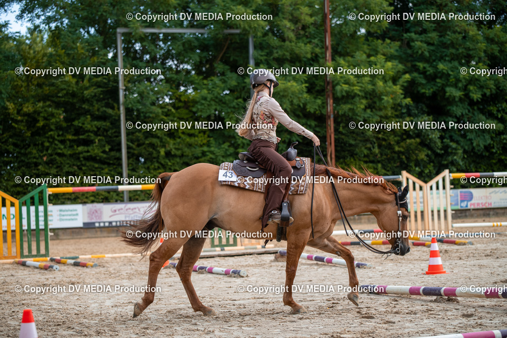 ZS3_9302 | dv-media-shop - Realisiert mit Pictrs.com