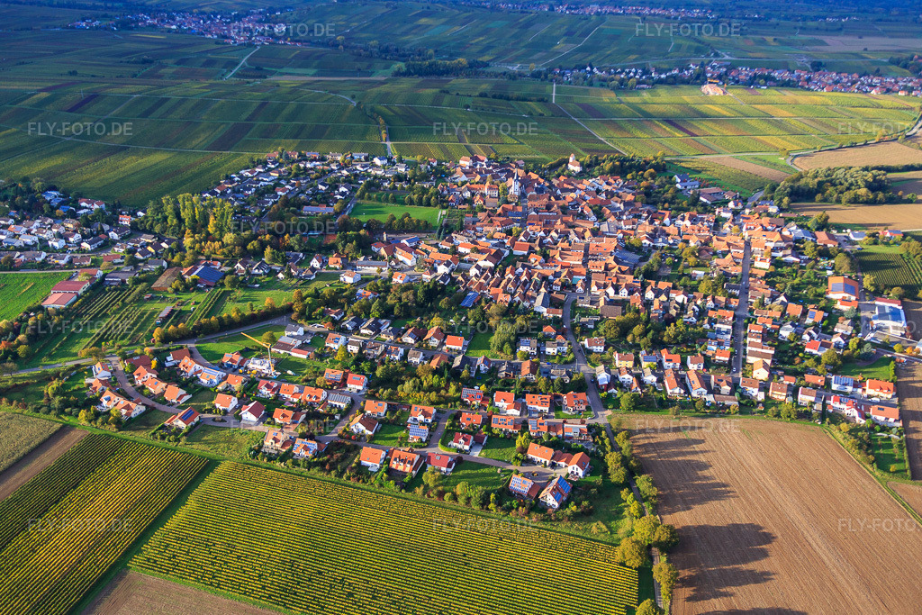Luftbild: Ortsübersicht zwischen herbstlichen Weinbergen aus Süden im Ortsteil Mörzheim in Landau im Bundesland Rheinland-Pfalz in Deutschland. Foto: IMG_074613.jpg vom 14.10.2014 durch Werner Riehm/FLY-FOTO.de