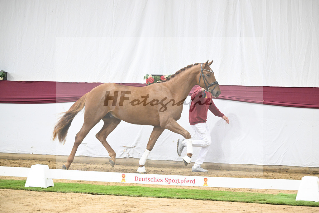 Kat-Nr. 122 Fynch Hatton x De Niro_Wolfgang Reich_47253599 | hf-fotografie - Realisiert mit Pictrs.com