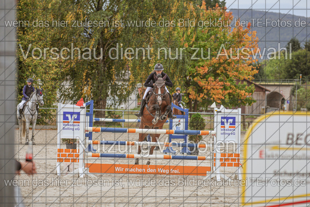 2025-09-22_11-13-37_MG_9206 | TE-Fotos