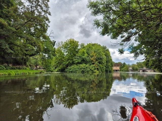 Oker in Braunschweig (6) | Naturfotografie Frauke Gläser - Realisiert mit Pictrs.com