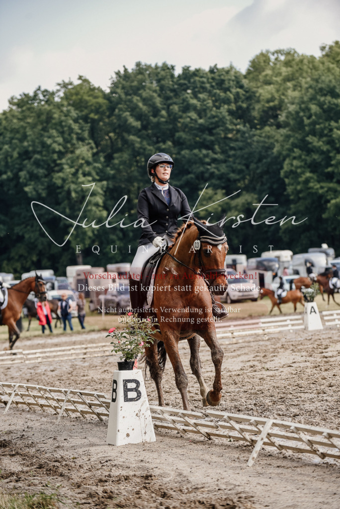 DSC_8966 | Pferde- und Turnierfotografie in Westsachsen. Pferdeportraits, Auftragszeichnungen und intuitive Kunst.