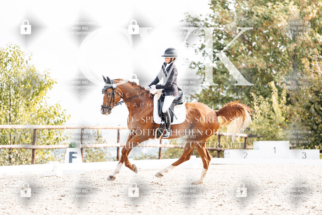 CK901367 | Turnierfotografie Pferdefotografie Trier Rheinland-Pfalz Pferdesport Reitsport Tierfotografie Sportfotografie Pferdevideo Pferdevideografie Equestrianvideography equestrianphotography  - Realisiert mit Pictrs.com