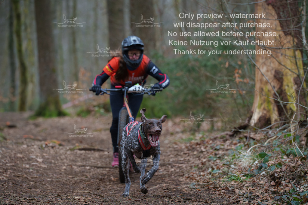 Scooter_So-2 | stephaniefillaphotographie - Realisiert mit Pictrs.com