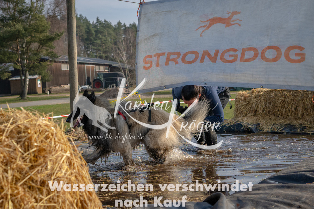 _ZZ92405 | kk-dogfotos