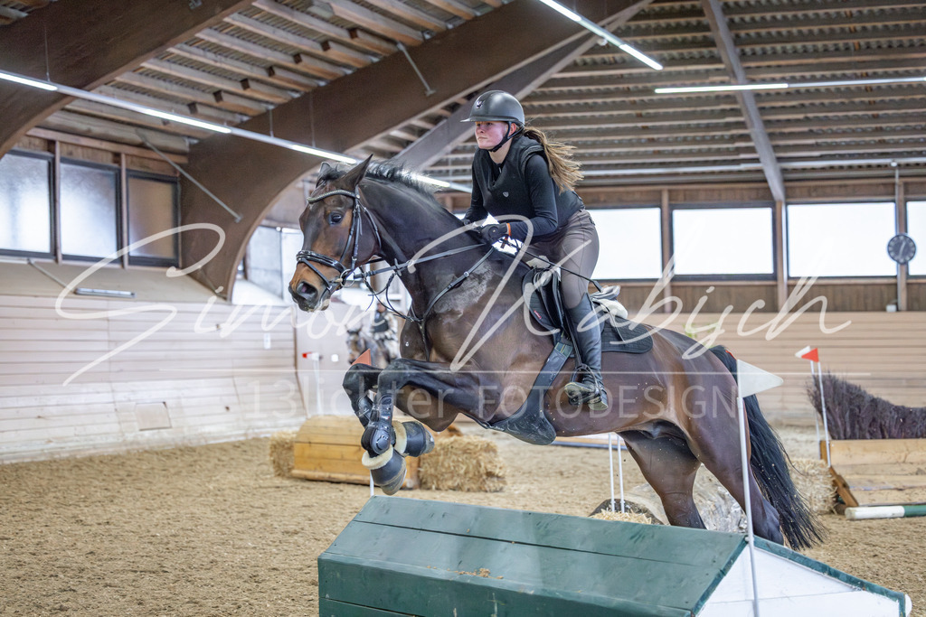 20260221-_3LI0533 | Tierfotografie Pferde, Hunde, Katzen, Haustiere.
Turnierfotografie Reitturniere, Reiten, Springreiten, Dressur in Hanau, dem Main-Kinzig-Kreis und dem Rhein-Main- Gebiet um Frankfurt