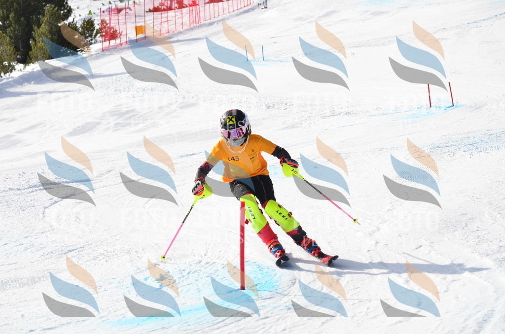 C7716 | holidayphoto