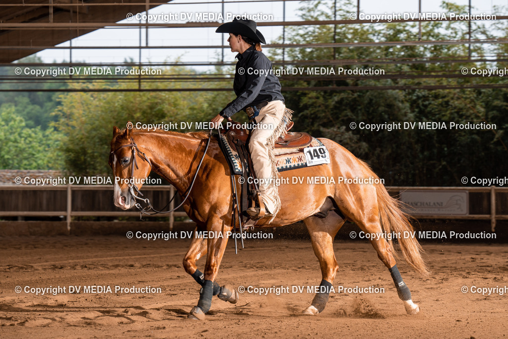 Erbach Tag 2-944 | dv-media-shop - Realisiert mit Pictrs.com