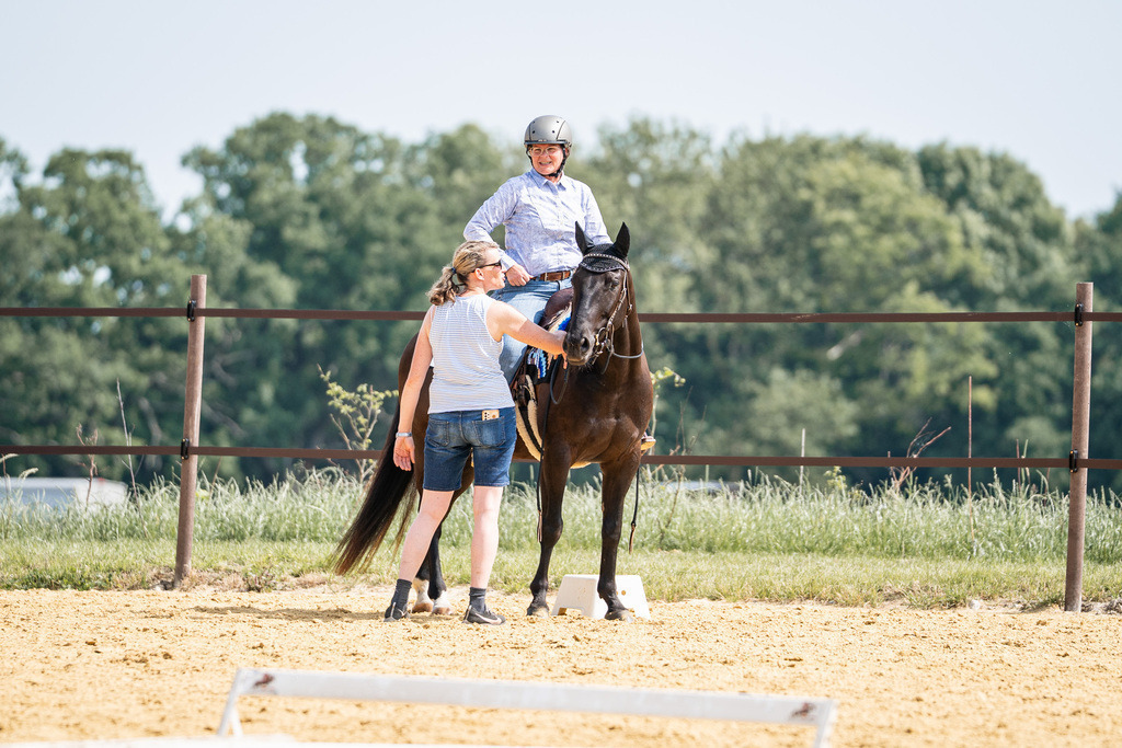 DSC09925 | Pferdegrafie