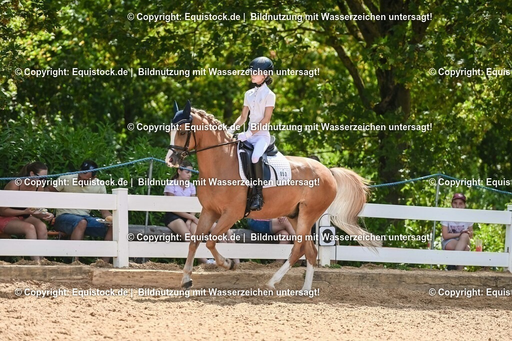 20230715_09_Dressur-WB_0280 | equistock