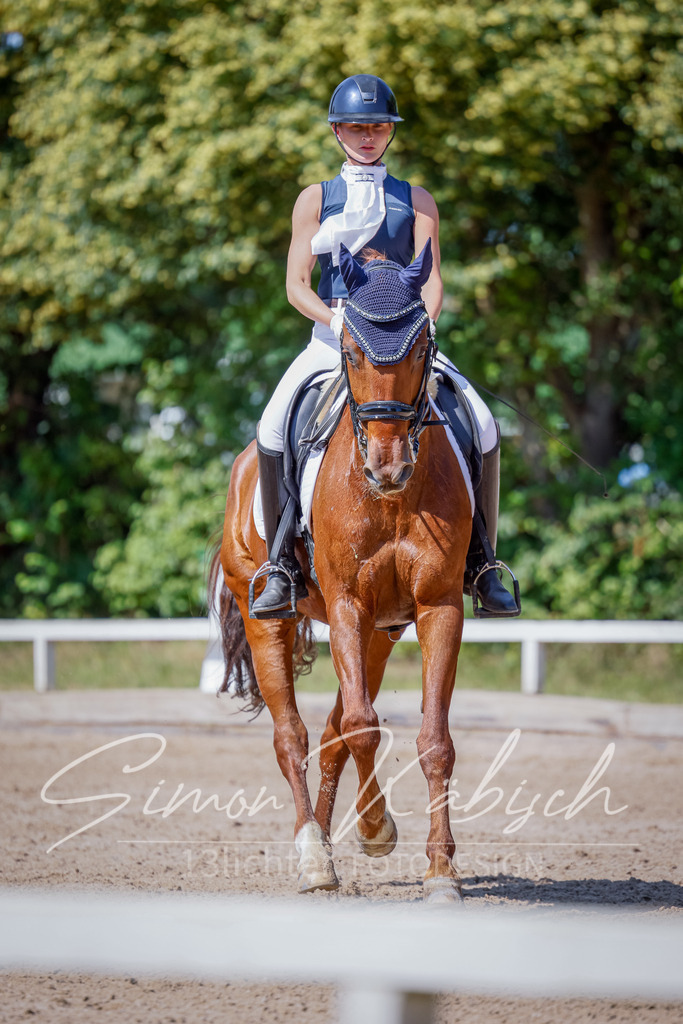 20250621-_3LI9569 | Tierfotografie Pferde, Hunde, Katzen, Haustiere.
Turnierfotografie Reitturniere, Reiten, Springreiten, Dressur in Hanau, dem Main-Kinzig-Kreis und dem Rhein-Main- Gebiet um Frankfurt