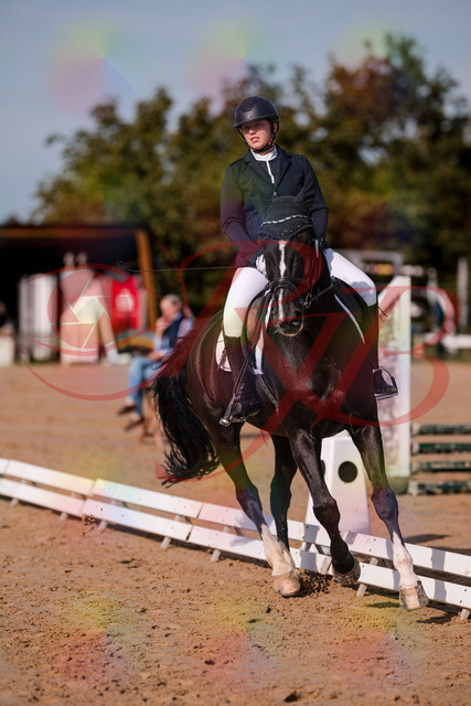 2026_10_03_Siefer-Hof_113746_Z81_81440286 | Professionelle Reitsport-, Turnier- und Eventfotografie von Robert Broda. Galerien mit ausgewählten und bearbeiteten Bildern direkt online ansehen und bestellen.