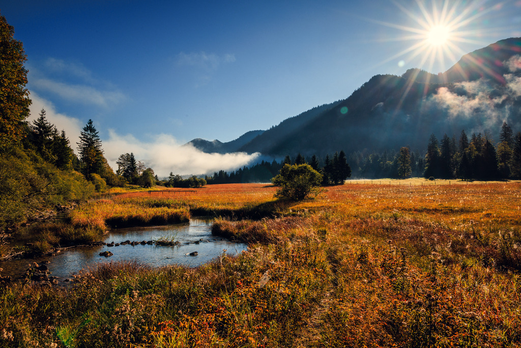 Drei Senn Gebiet im Herbstgegenlicht | ap-design // andreas plenk - Realisiert mit Pictrs.com