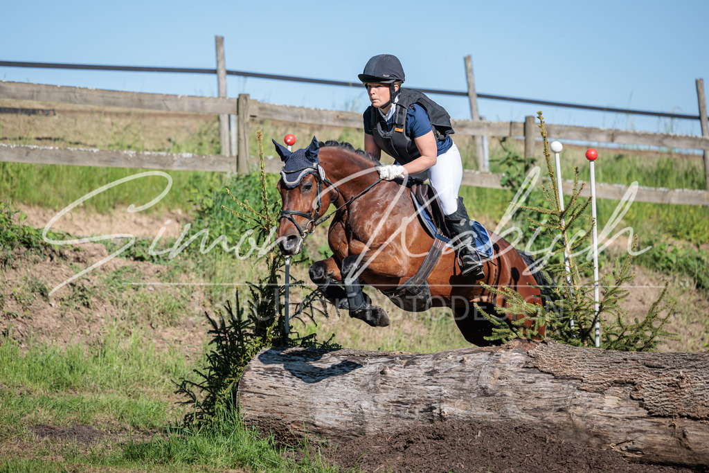 20260523-_3LI6284 | Tierfotografie Pferde, Hunde, Katzen, Haustiere.
Turnierfotografie Reitturniere, Reiten, Springreiten, Dressur in Hanau, dem Main-Kinzig-Kreis und dem Rhein-Main- Gebiet um Frankfurt
