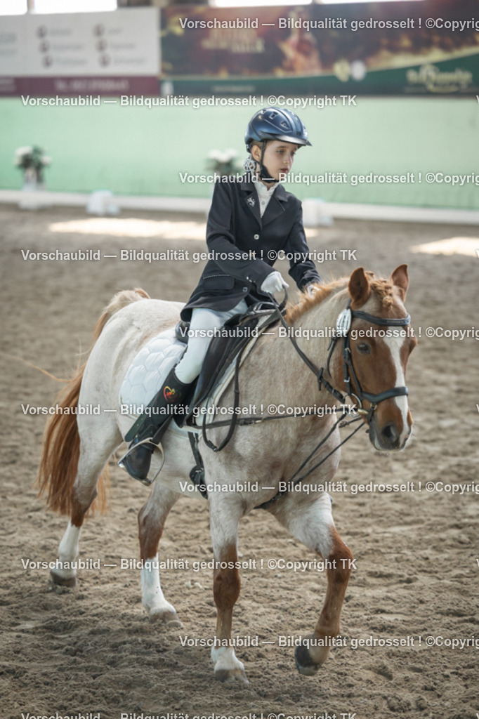 _D5A9067 | Emotionale Pferde- & People-Fotografie rund um Heidelberg, Leimen & Umgebung. Natürliche Fotos von Pferd, Mensch & Familie. Jetzt Termin sichern!